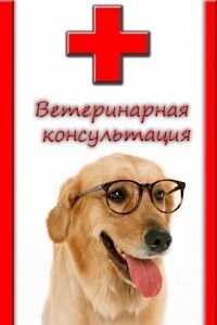 Купоны