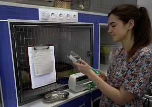 Круглосуточный стационар
